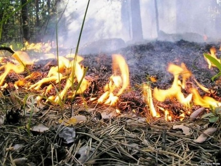 31 человек привлечен к административной ответственности за сжигание сухой растительности.