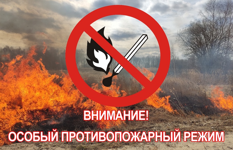 На большей части Красноярского края введен особый противопожарный режим.