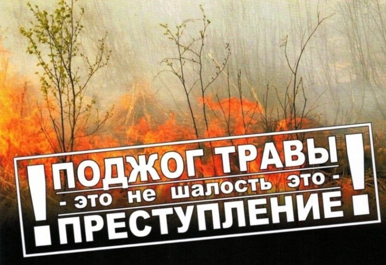 Поджог травы — преступление!. Поджог травы — преступление!.